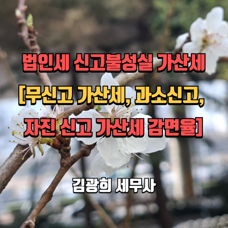  12월 결산 법인 법인세 신고불성실 가산세[무신고 가산세, 과소신고, 자진 신고 가산세 감면율]