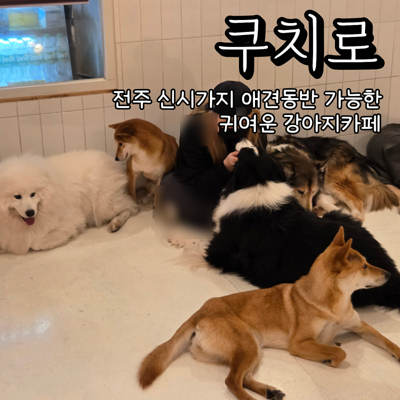 사진 4