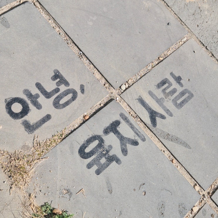  서산 간월도에서 제일 핫한 카페 다녀왔어요 홍성군 궁리 카페드하리 내돈내산 후기
