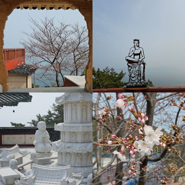  여수 벚꽃명소 용월사 돌산 드라이브 코스 추천