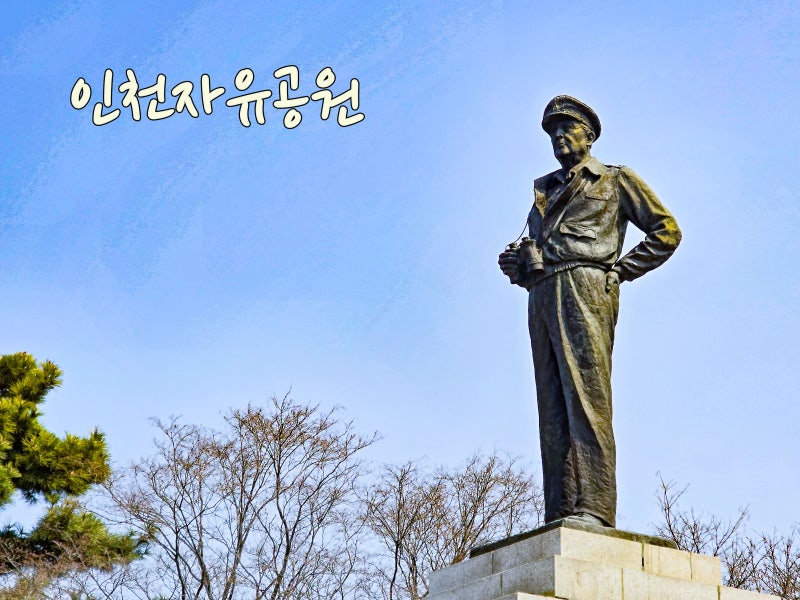 사진 9