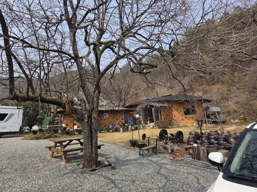 샤론전통찻집 사진 3