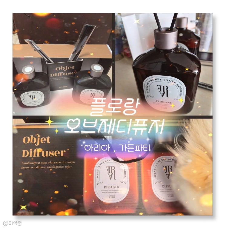  디퓨져 플로랑 오브제 대용량 인테리어 디퓨저 향기 뿜뿜 2구 선물세트 아리아 플로랑
