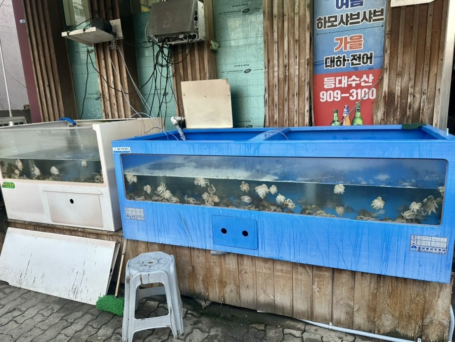 등대수산 사진 4