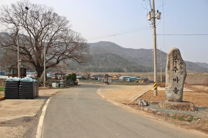 부용산 사진 2