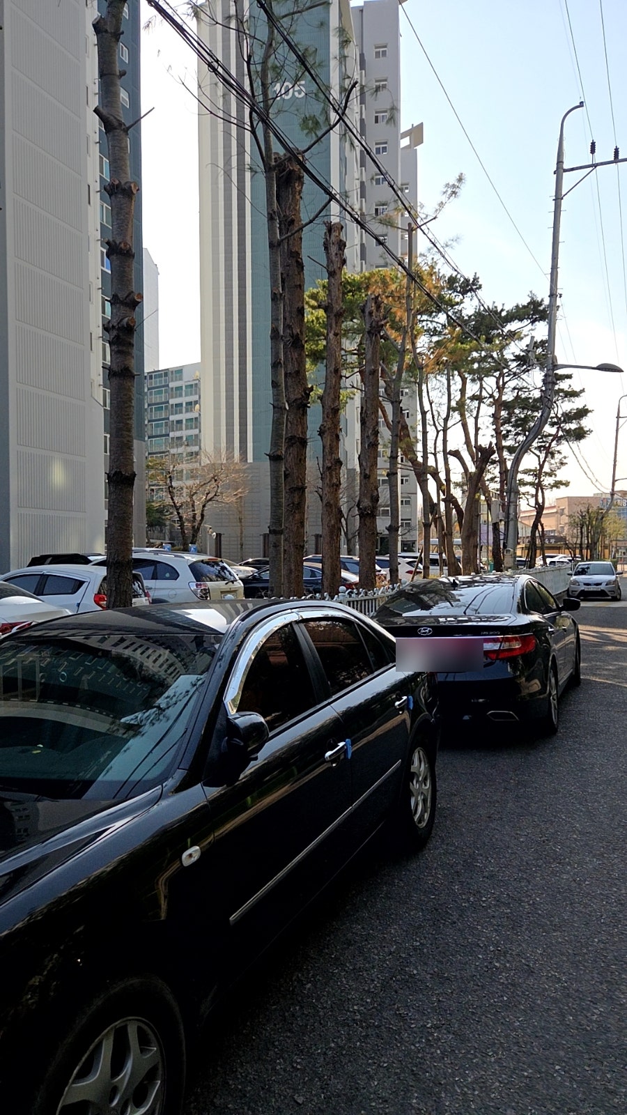 이비가짬뽕 전주평화점 사진 3