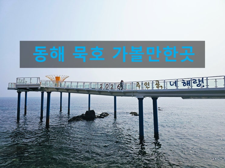  동해 묵호 가볼만한곳 도째비골 해랑전망대 입장료 주차