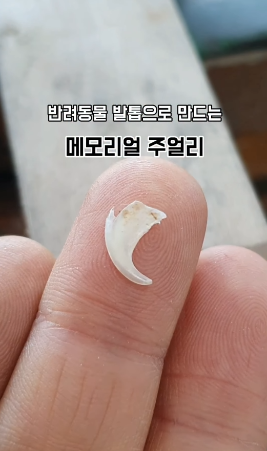  반려동물 발톱으로 만드는 메모리얼 주얼리