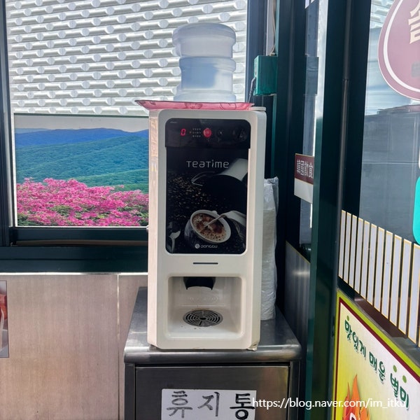 솔향기 사진 3
