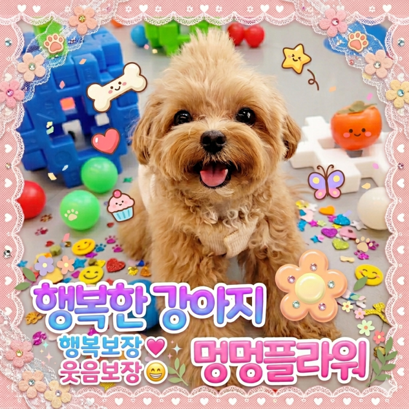 사진 7
