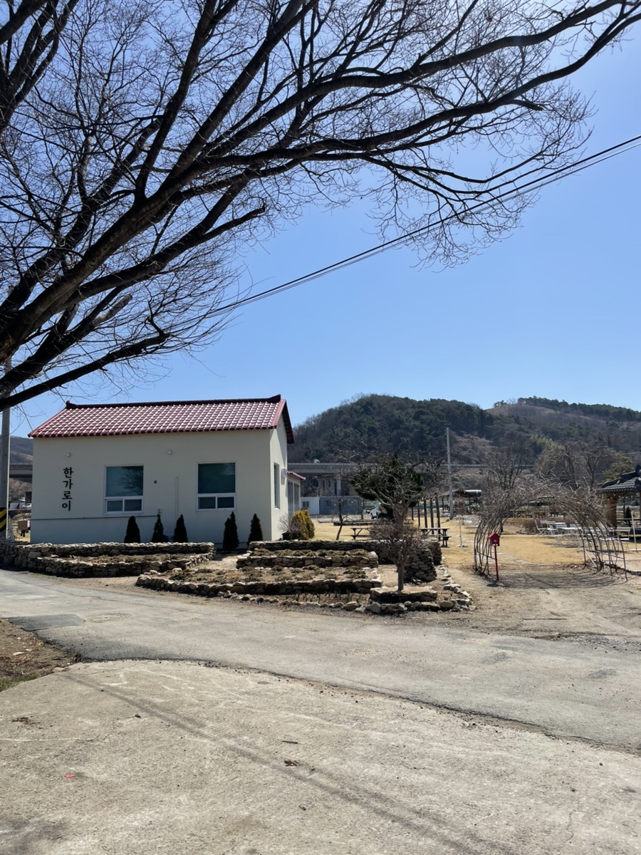한가로이 사진 4