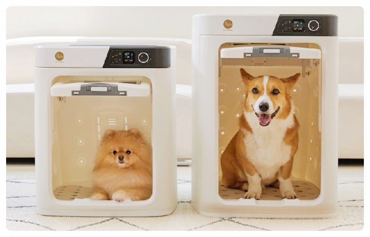  강아지 드라이룸 페페 소형견 고양이 펫드라이기 안면무풍 건조 산책 케어 방법 목욕 후 털 말리기 다묘가정 필수템 DR-100PRO