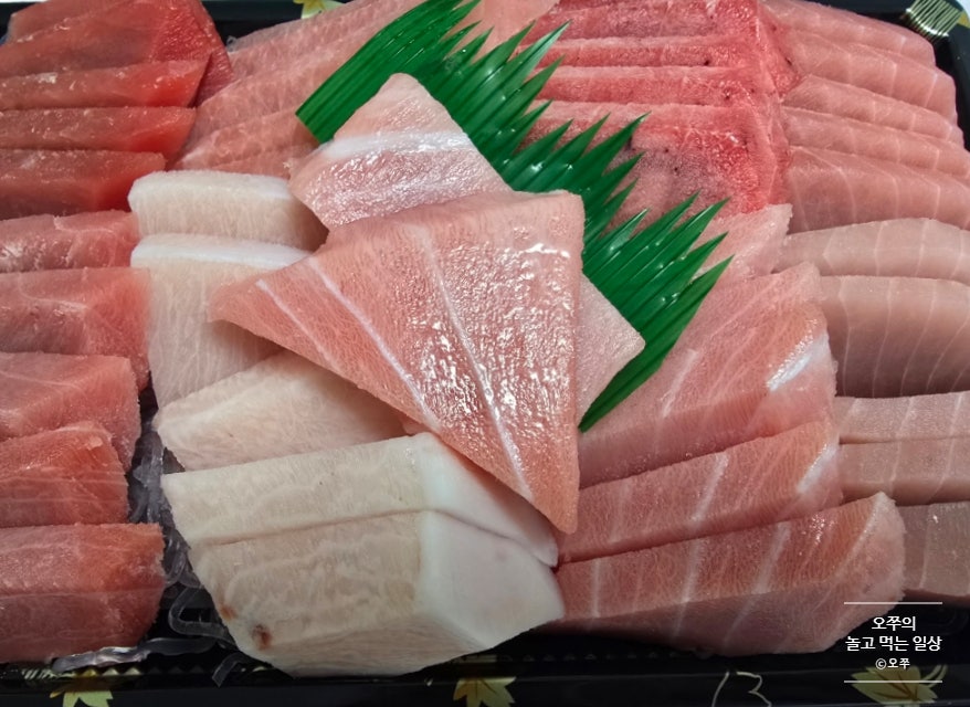 격렬한참치 사진 3