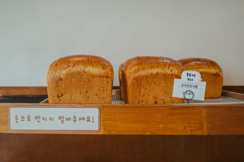 오블랑쉬 사진 4