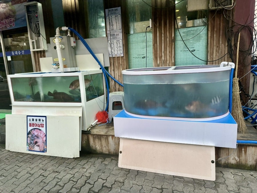 등대수산 사진 3