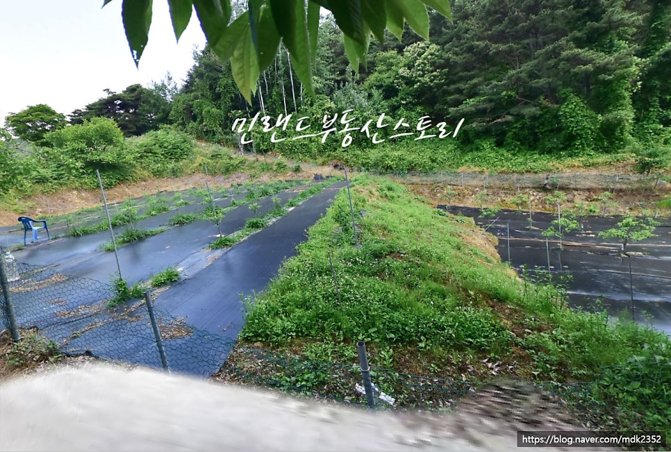 성주산 사진 3