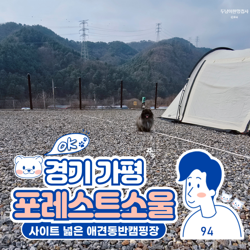 사진 6