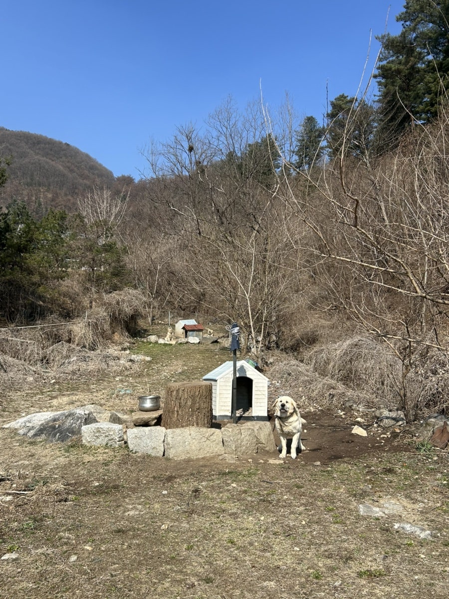 정배리베리 사진 5