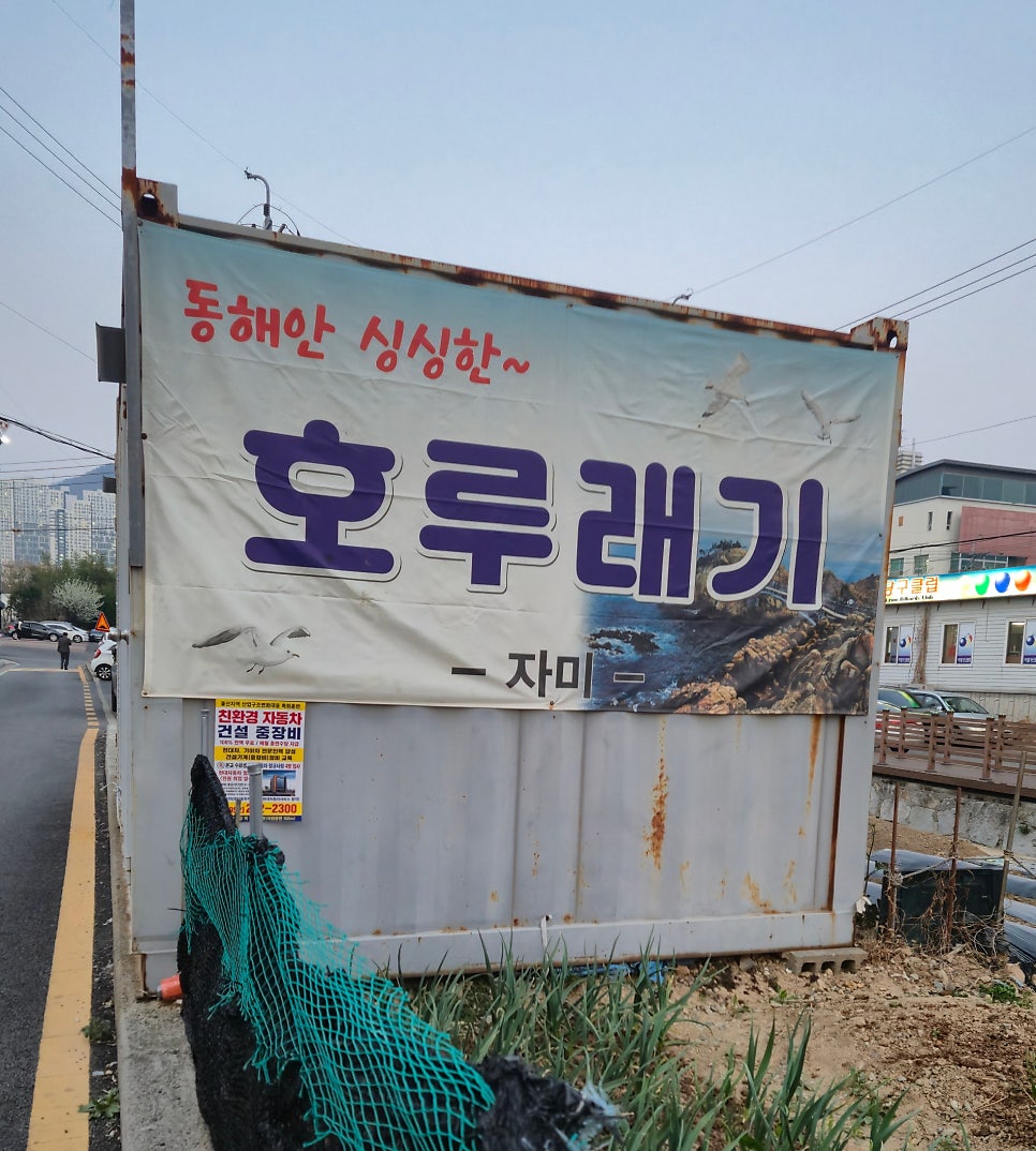 자미식당 사진 2