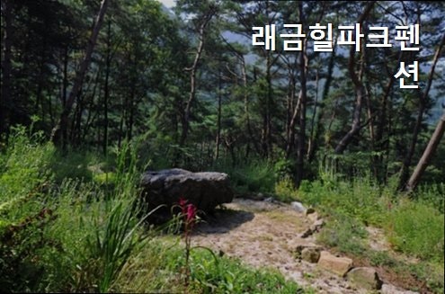 래금힐파크 사진 3