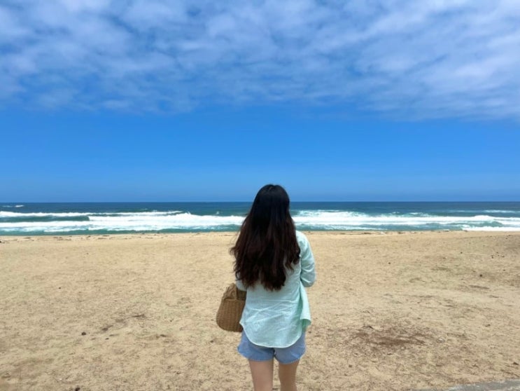  강원도 동해 묵호 여행 어쩌다 어달