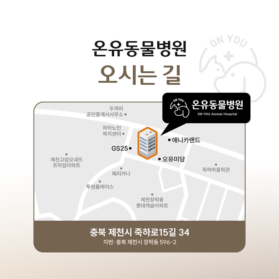 온유동물병원 사진 5