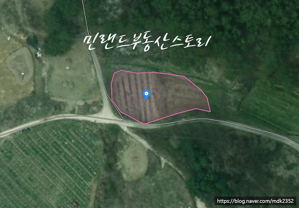 성주산 사진 4