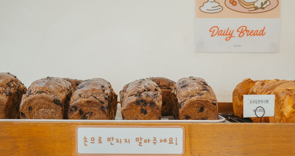 오블랑쉬 사진 5
