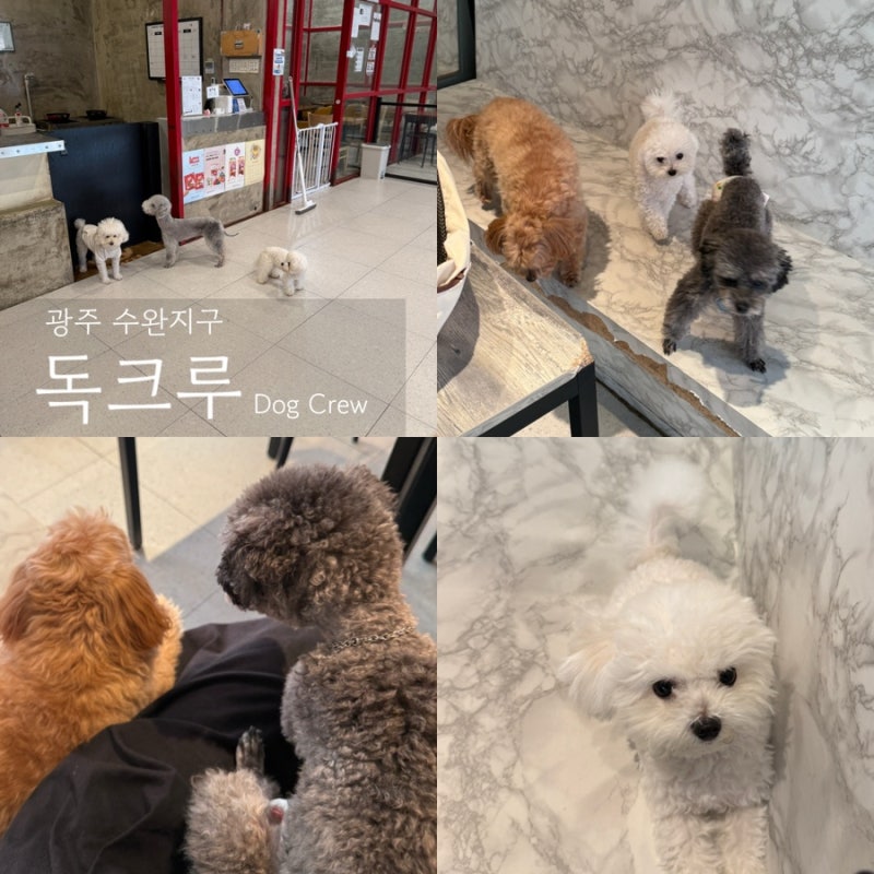 사진 7