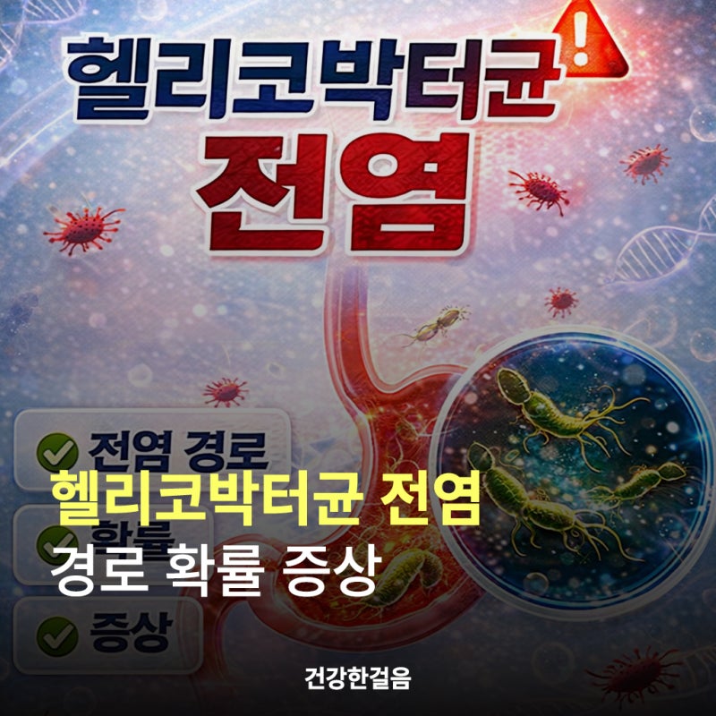 헬리코박터균 전염 경로 확률 증상