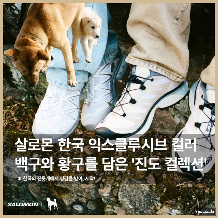  살로몬 운동화 한국 익클 백구와 황구를 담은 진도 컬렉션 발매!