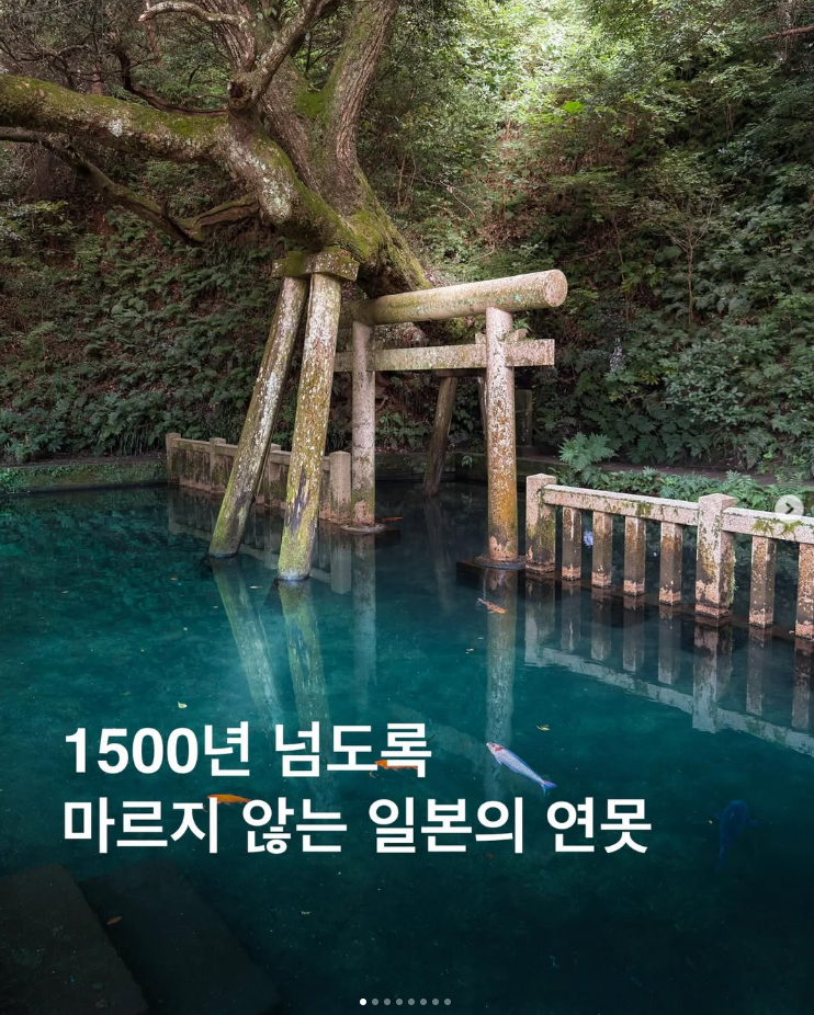  1500년 넘도록 마르지 않는 일본의 연못