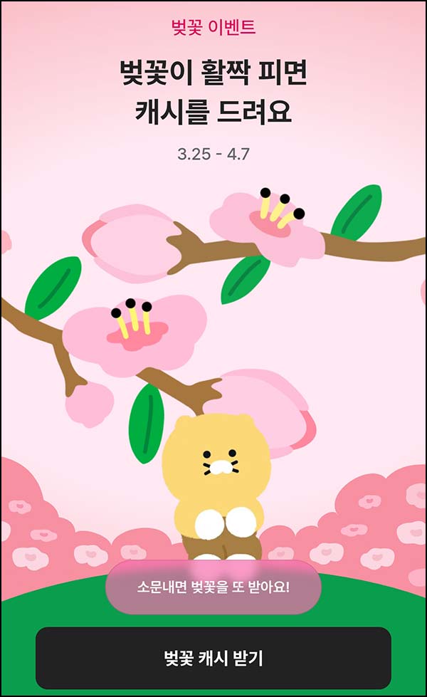  카카오뱅크 벚꽃 캐시 (랜덤 캐시) 즉당~04.07