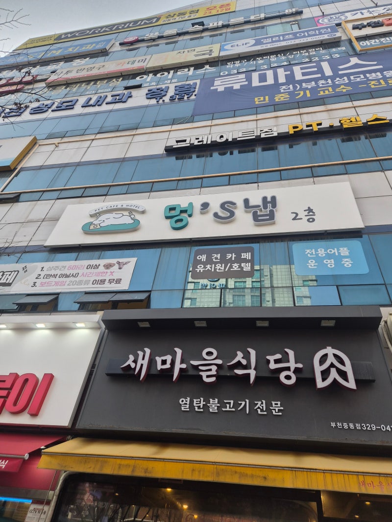 사진 8