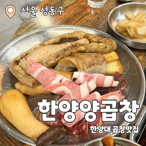  한양양곱창 : 숯불로 구워 더 맛있는 소곱창맛집 내돈내산 추천후기