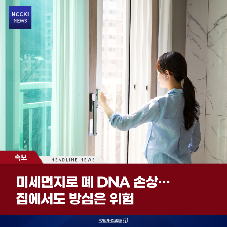  미세먼지로 폐 DNA 손상… 집에서도 방심은 위험