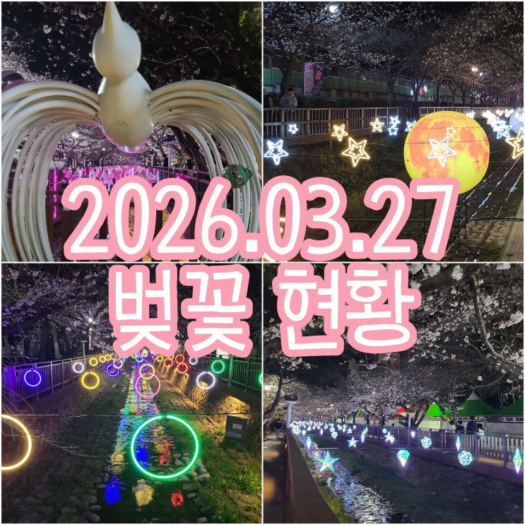  진해 벚꽃축제 벚꽃명소 여좌천 로망스다리 야경 야간 데이트