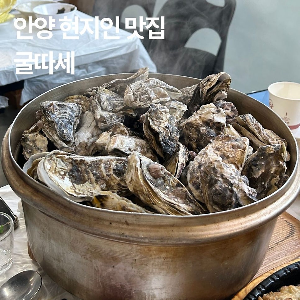 굴따세 사진 1