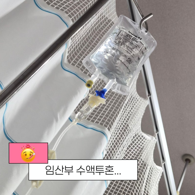 18주차 임산부 코감기 약처방 수액 후기 / 도움됐던 감기 차 추천