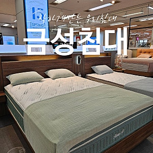 금성침대 프레임 퀸 슈퍼싱글 매트리스 종류 다양한 강변점