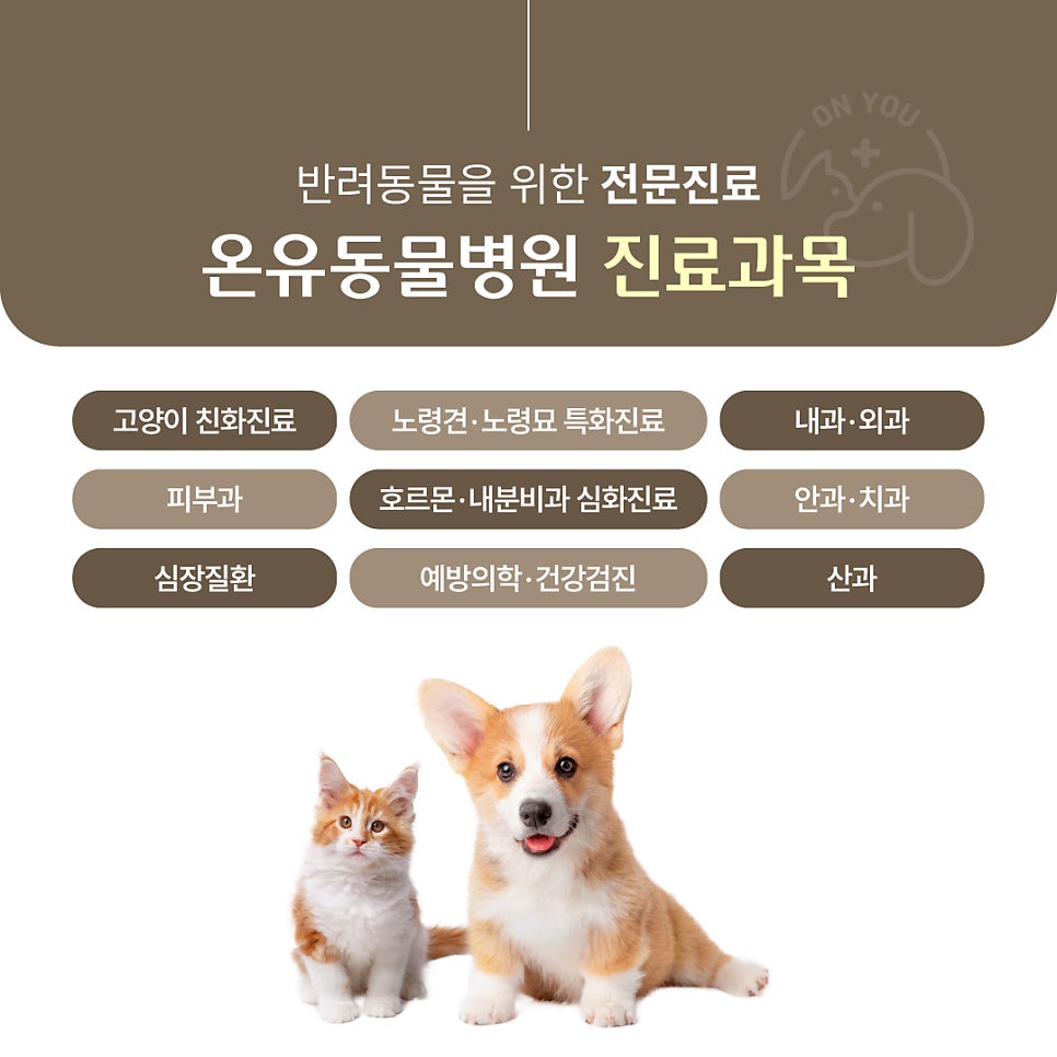 온유동물병원 사진 2