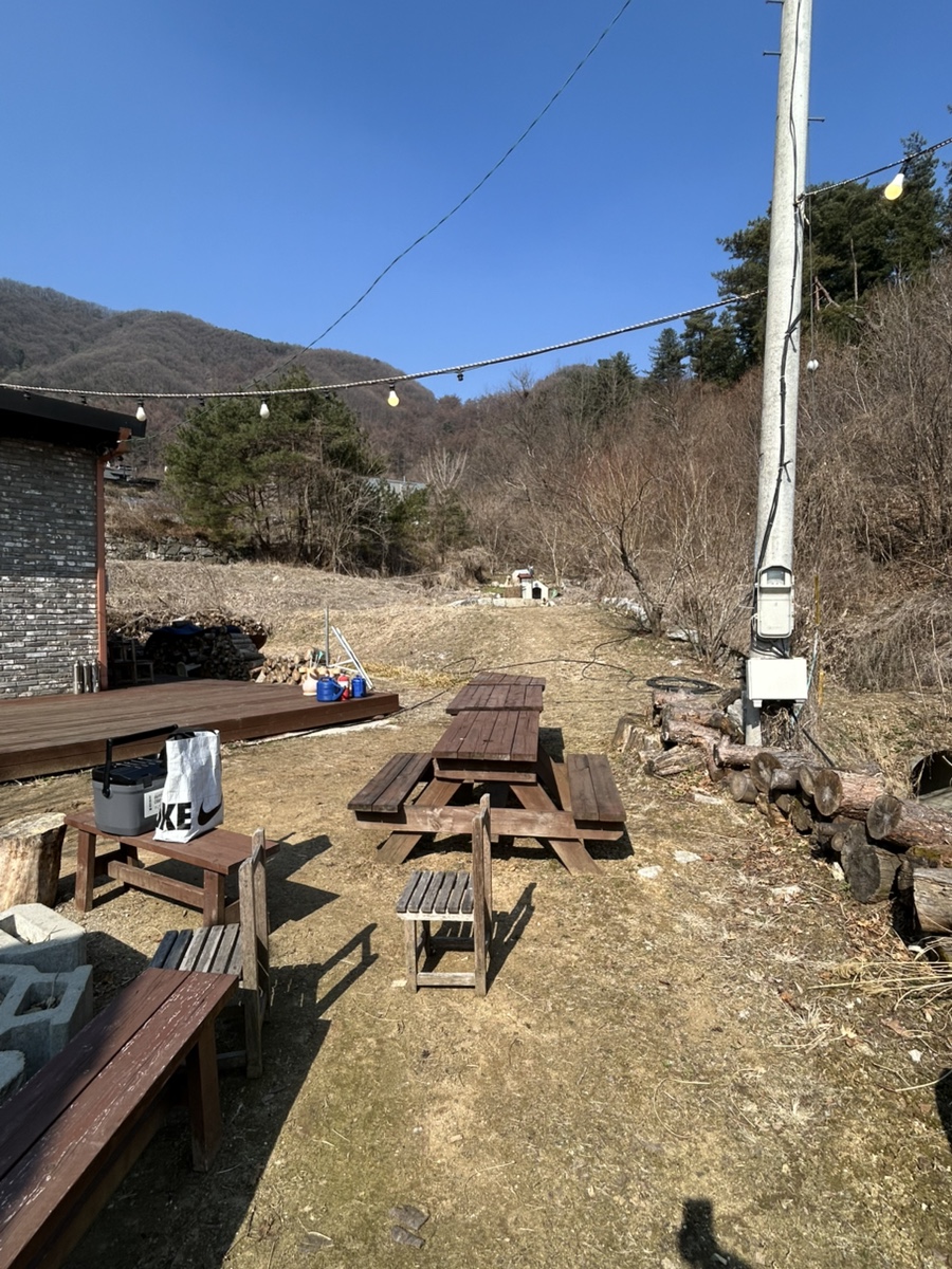 정배리베리 사진 4
