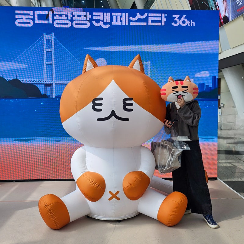 부산 궁디팡팡 캣페스타 궁팡 2026 첫날 방문 후기
