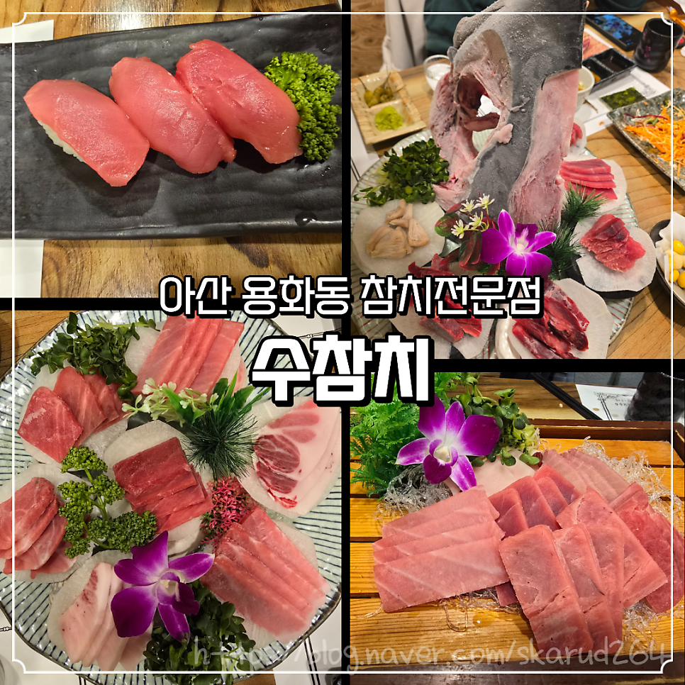 수참치 사진 1