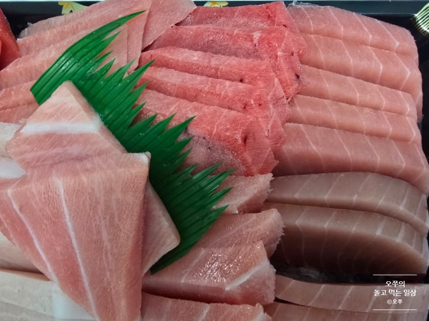격렬한참치 사진 5