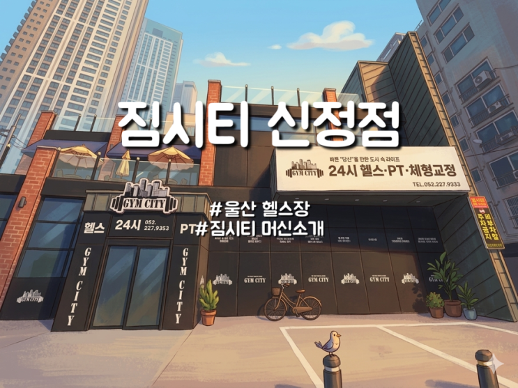  울산 남구 공업탑 24시 헬스장 일일권추천 짐시티신정점