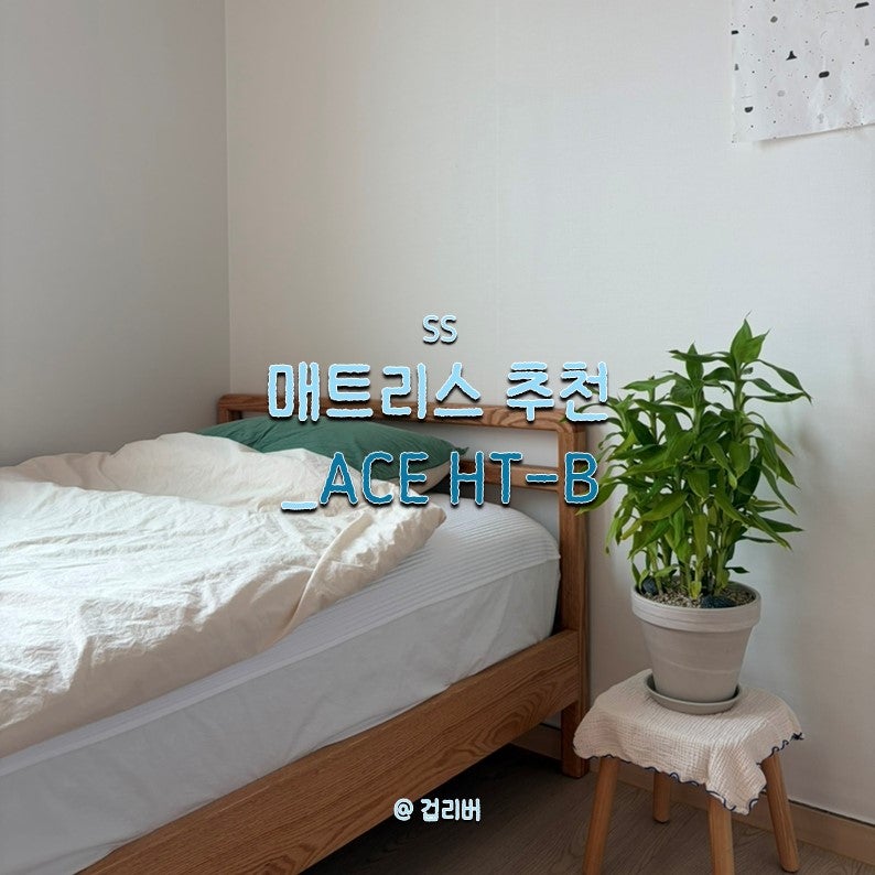 [SS매트리스 추천] 에이스침대 원매트리스 HT-B(HYBRID TECH-BLUE)