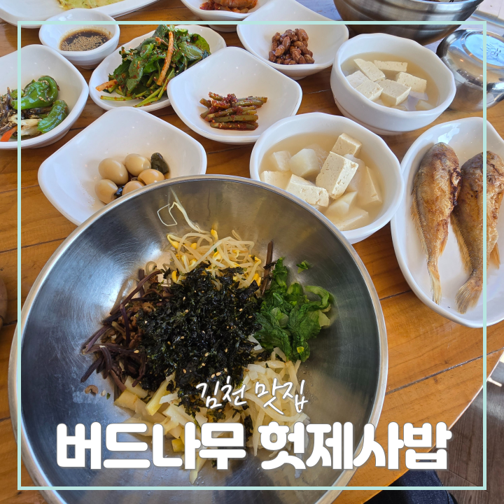 버드나무 사진 1