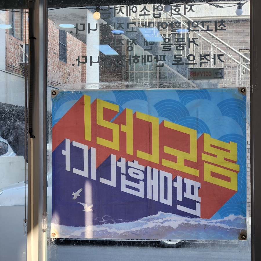 회조아 사진 4