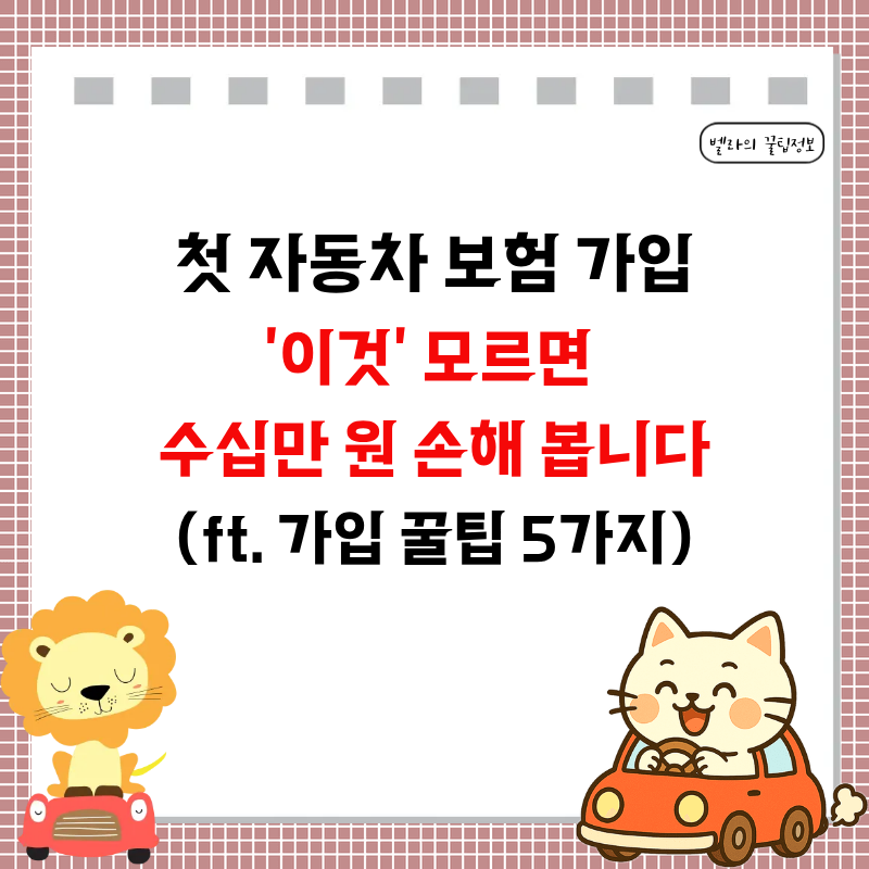 '첫 자동차 보험료, 100만 원 훌쩍?' 호구 안 당하는 현실 가입 꿀팁 5가지